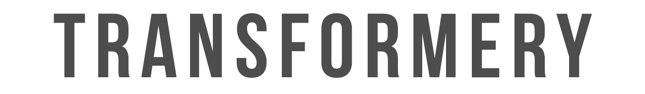 Transformery logo – AI transformation consulting